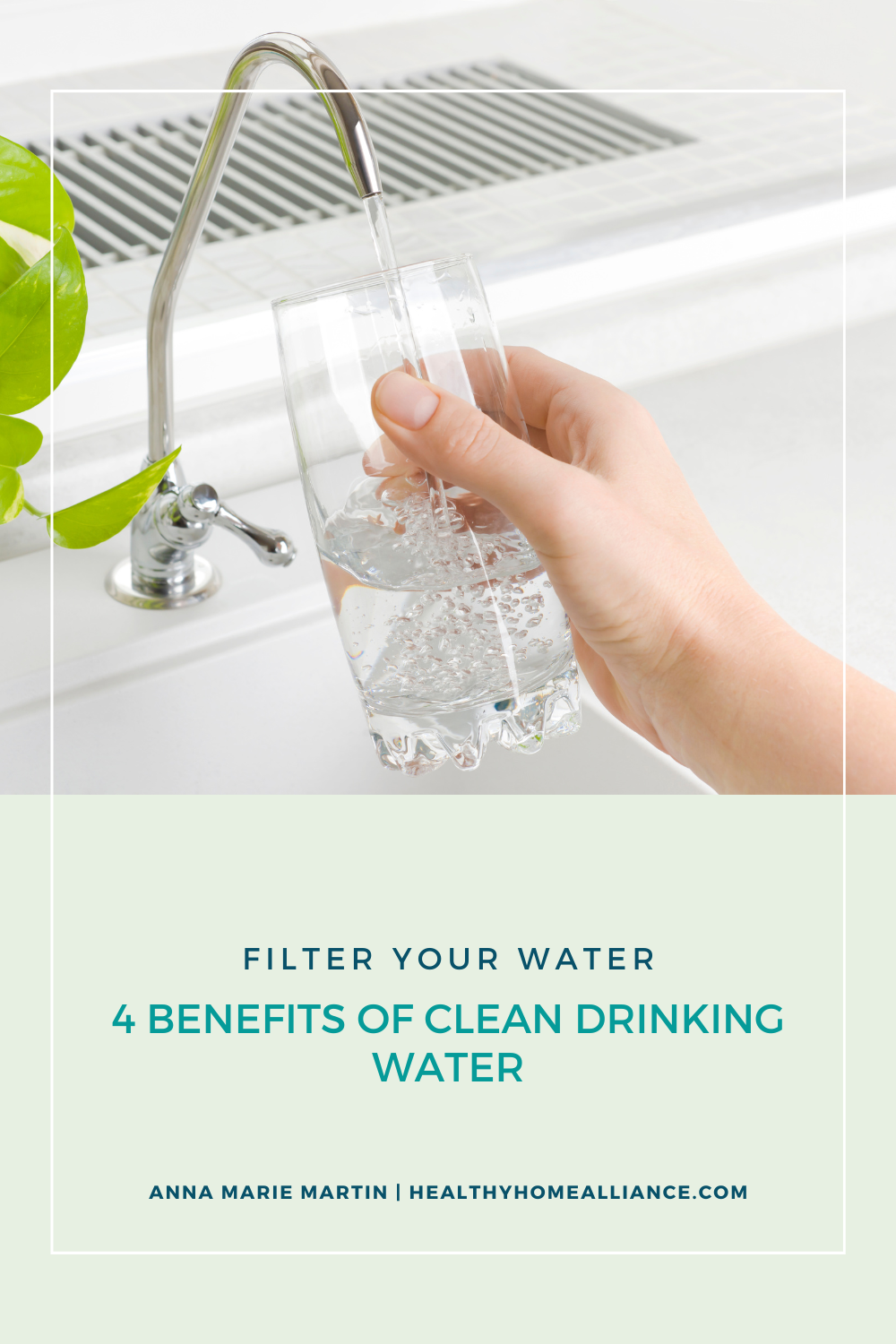Filter Your Water